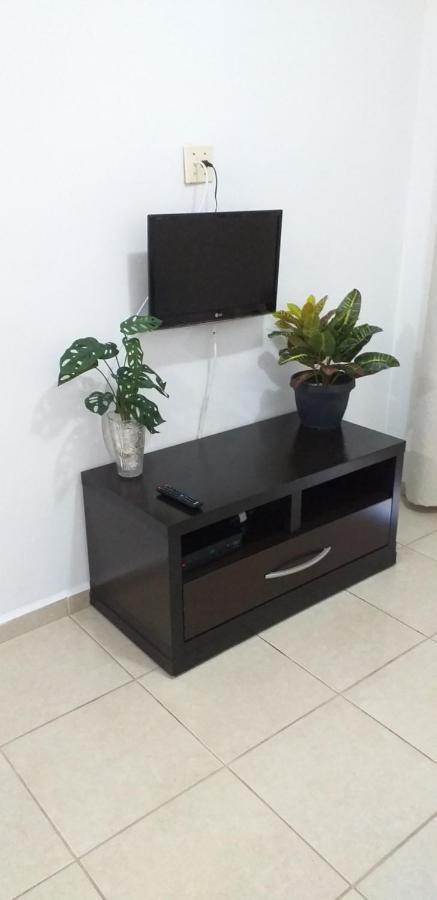 Apartamento No Canto Do Forte, Wi-Fi, Estacionamento Gratuito E Churrasqueira برايا جراندي المظهر الخارجي الصورة